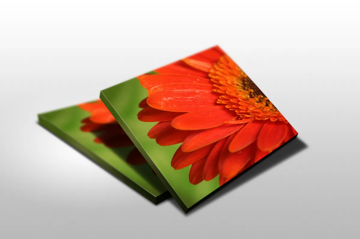 Digitaldruck auf Canvas